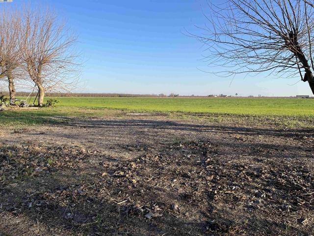 1290 Orange Ave, Patterson CA: https://media.crmls.org/mediaz/65747a2e-d0ad-4d7e-b955-2c4095253582.jpg
