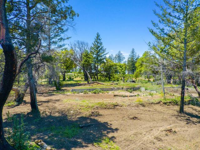 300 Braemoor Drive, Santa Cruz CA: https://media.crmls.org/mediaz/6582953b-033b-4052-be78-c590f00aa329.jpg