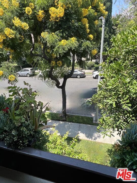 950 N Kings Road, West Hollywood CA: https://media.crmls.org/mediaz/6591a318-6acf-4ae3-8c3e-738881f6cde8.jpg
