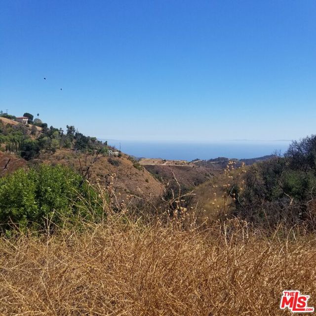 29162 Upper Ramirez Motor Way photo 1