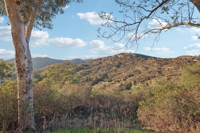 26086 Bear Valley Heights Road, Escondido CA: https://media.crmls.org/mediaz/659cbe01-34e0-43dd-8db5-670d02a867ff.jpg