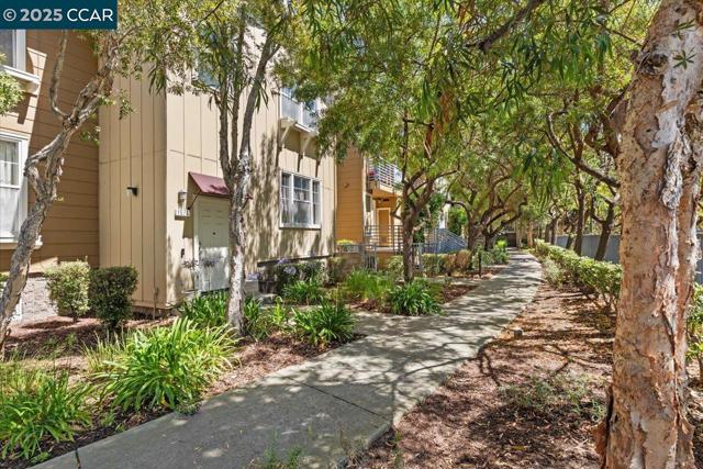 1582 Chandler St, Oakland CA: https://media.crmls.org/mediaz/659d35f7-760f-41c3-805d-6560fa851192.jpg