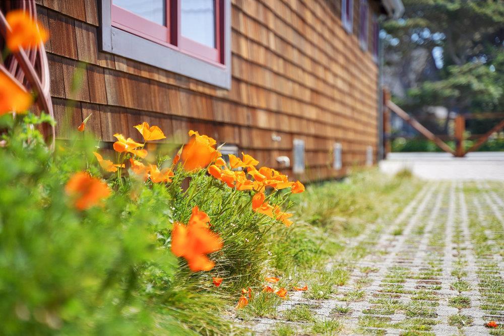 137 Kelly Avenue, Half Moon Bay CA: https://media.crmls.org/mediaz/65a0107f-6583-4ee6-b64b-5da78dc696ef
