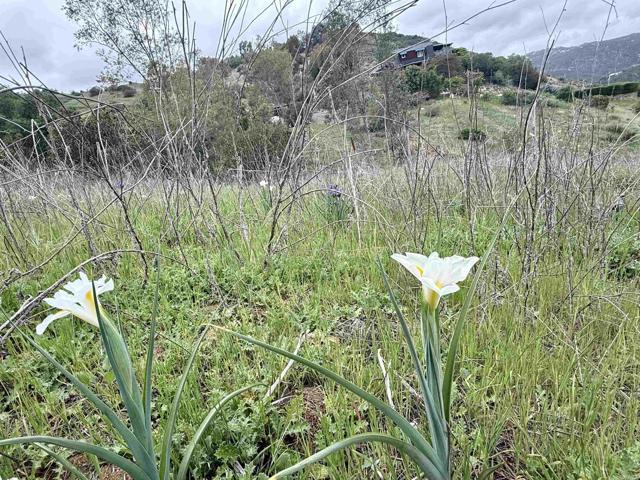 0 Alex Road, Fallbrook CA: https://media.crmls.org/mediaz/65a6705e-f3fc-444d-af1a-9beeb66d16b3.jpg