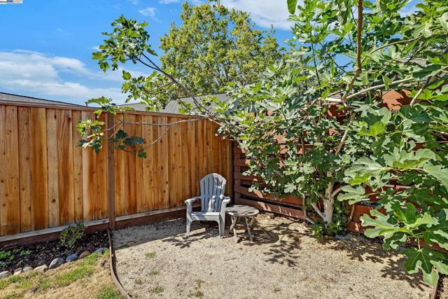 15833 Via Toledo, San Lorenzo CA: https://media.crmls.org/mediaz/65aec56c-628f-400b-b9d6-e6d1a8c66506.jpg