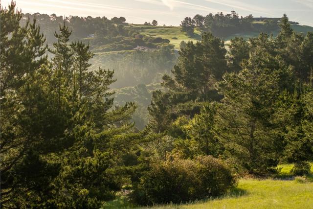 7925 Cinquenta (Lot 97), Carmel CA: https://media.crmls.org/mediaz/65c2d4e3-105b-49ae-839b-3c874cc23e5a.jpg