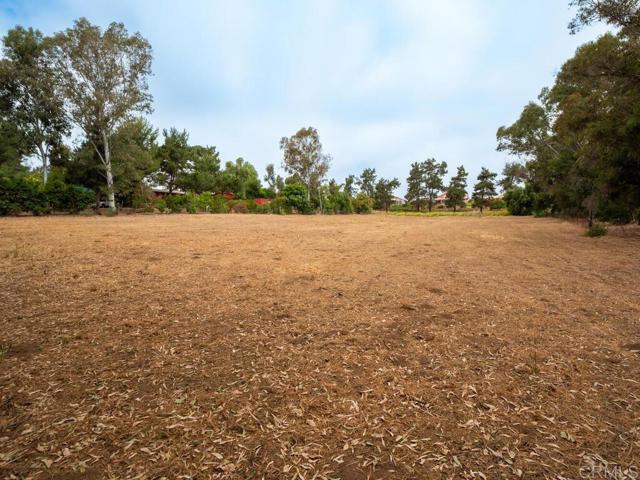 0 McDonald, Fallbrook CA: https://media.crmls.org/mediaz/65ce9255-4a9e-4de7-a6f3-b7f328b113d1.jpg