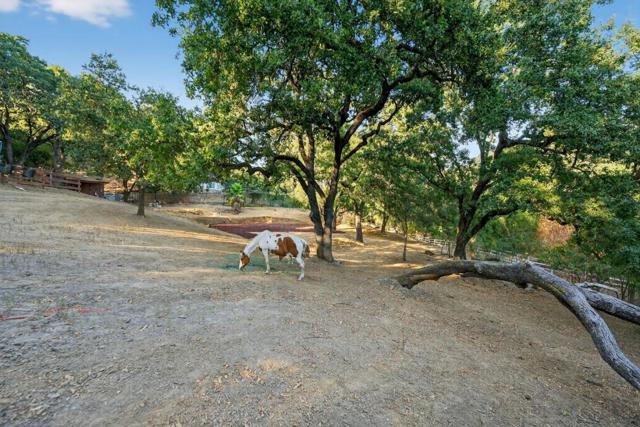 15098 Elm, Monte Sereno CA: https://media.crmls.org/mediaz/65d32c8a-284a-4a45-aea1-a477662eaff0.jpg