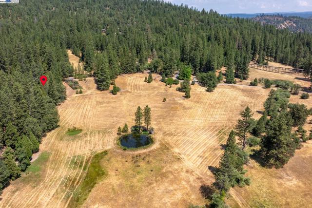 23875 Marshall Way, Twain Harte CA: https://media.crmls.org/mediaz/65e504ba-069c-401b-98ef-365c0bbbbbdc.jpg