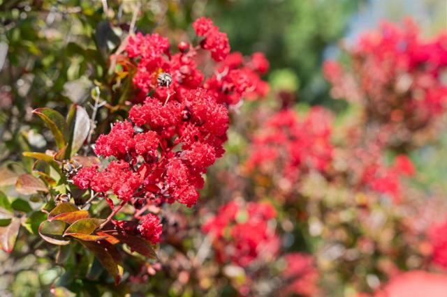 Image 57 of 81 For 15212 Janor Court