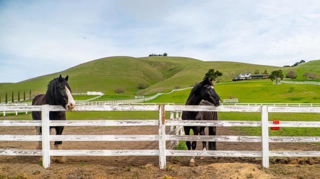 6033 Dagnino Road, Livermore CA: https://media.crmls.org/mediaz/65eaaef1-002a-4368-b393-2aed92517f7f.jpg