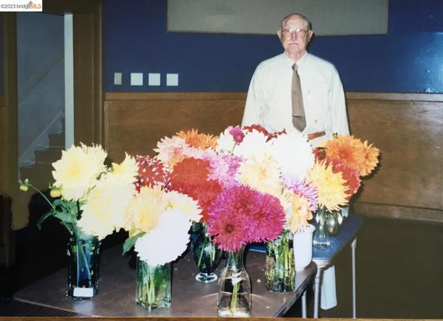 Truly Prize-Winning Dahlias