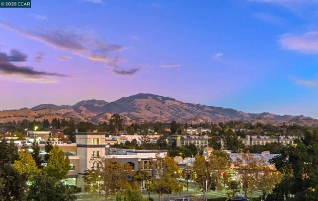 1800 Alma Ave, Walnut Creek CA: https://media.crmls.org/mediaz/65fab2ab-6cf7-4ff9-9235-abd7950b5610.jpg