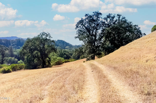 Detail Gallery Image 17 of 23 For 18300 Walker Rd, Willits,  CA 95490 - – Beds | – Baths