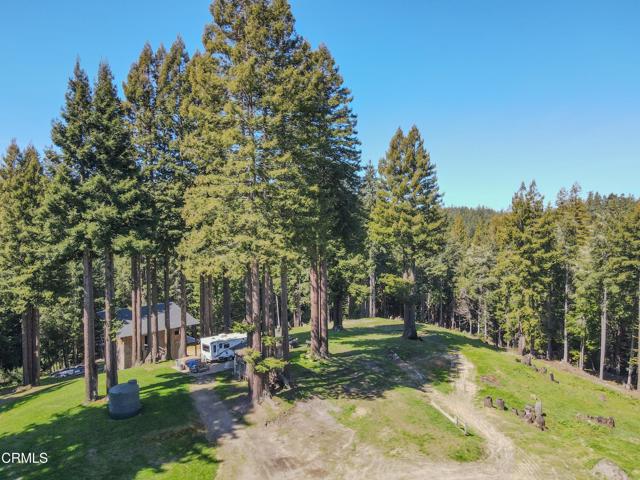 15137 Mitchell Creek Drive, Fort Bragg CA: https://media.crmls.org/mediaz/66017ba8-ba73-4719-ad38-28e984de9d3d.jpg