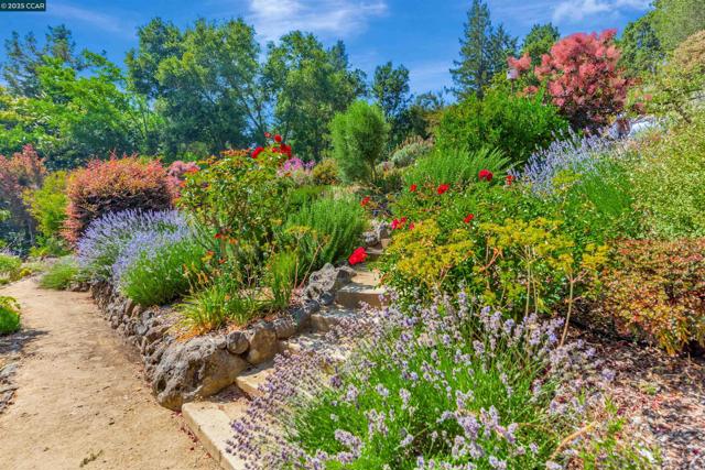 23 El Verano, Orinda CA: https://media.crmls.org/mediaz/6602f1d4-e06f-48e0-aaab-f4638f7b1cfe.jpg
