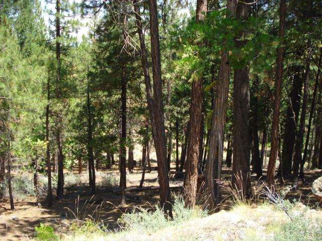 976 Moon Shadow, Portola CA: https://media.crmls.org/mediaz/660372ae-f174-4a84-82f7-1d0ec025bc96.jpg