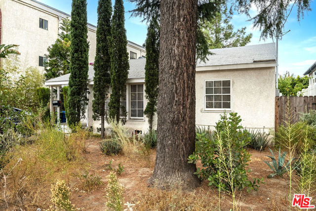 12344 Oxnard Street photo 3