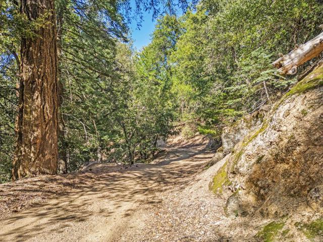 Detail Gallery Image 29 of 30 For 14 +/- Acres Palomar Divide Truck Trl, Palomar Mountain,  CA 92060 - – Beds | – Baths