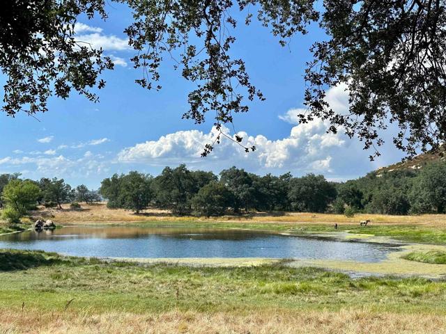 Image 17 of 69 For 25258 Black Canyon Road