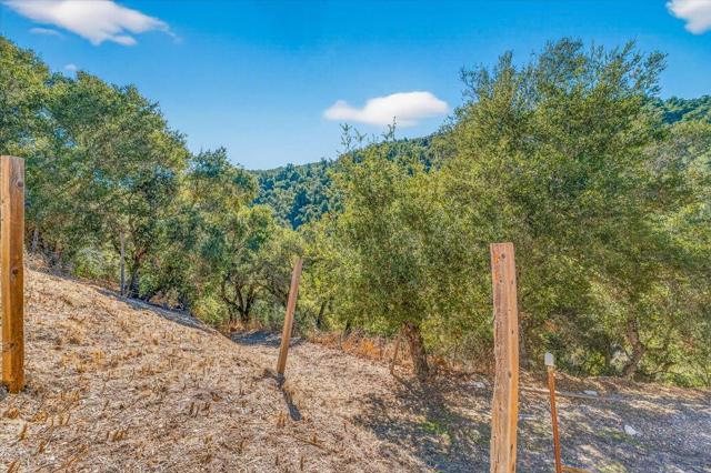21444 Parrott Ranch Road, Carmel Valley CA: https://media.crmls.org/mediaz/66165753-6d51-4726-b52a-231d98e8a2de.jpg