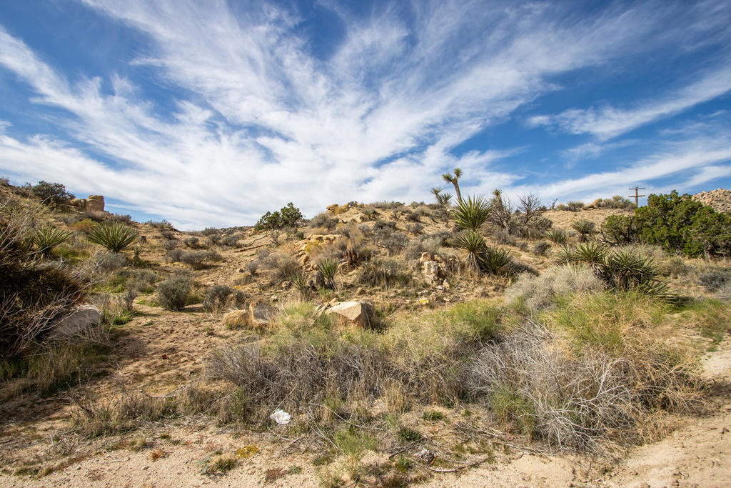 MLS #219138040PS image #14