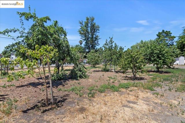 2325 Taylor Rd, Bethel Island CA: https://media.crmls.org/mediaz/661c1d1b-fbdf-4ec4-a60e-9acd4d5a2901.jpg