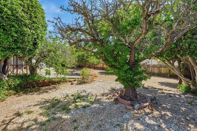 315 California Avenue, South San Francisco CA: https://media.crmls.org/mediaz/66231668-124b-43a3-b0e9-ccb928be4be1.jpg