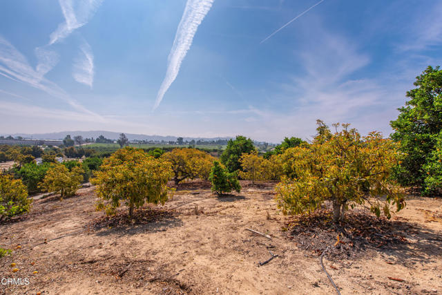 Detail Gallery Image 49 of 57 For 5275 N Creston Ln, Somis,  CA 93066 - 4 Beds | 3 Baths