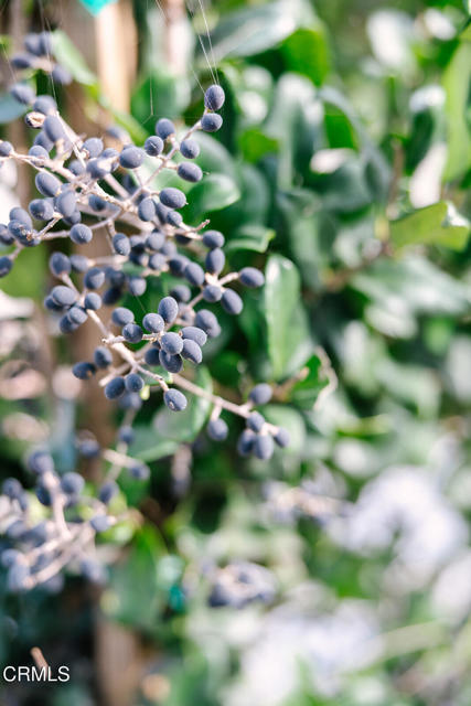 Detail Gallery Image 9 of 68 For 2506 Weston Pl, Glendale,  CA 91208 - – Beds | – Baths