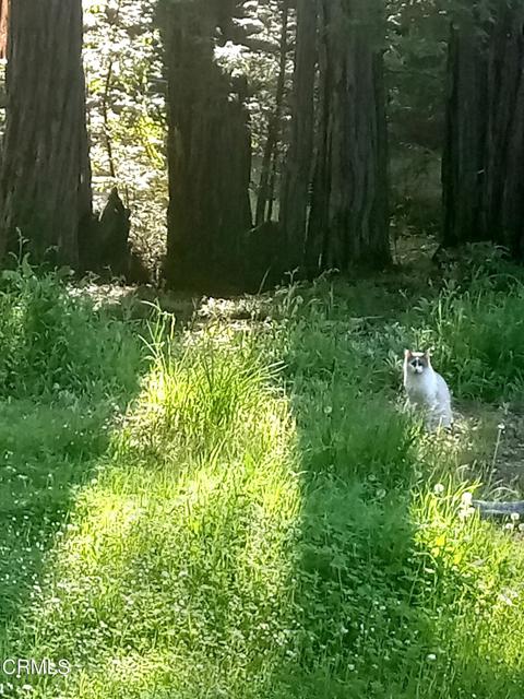 Detail Gallery Image 8 of 12 For 19800 Appaloosa Way, Philo,  CA 95463 - – Beds | – Baths