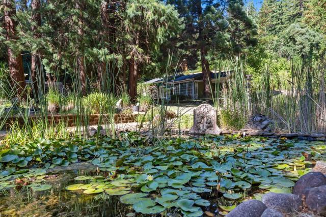 22370 Old Santa Cruz Highway, Los Gatos CA: https://media.crmls.org/mediaz/663e6a82-d827-410c-8421-654ebbcef397.jpg
