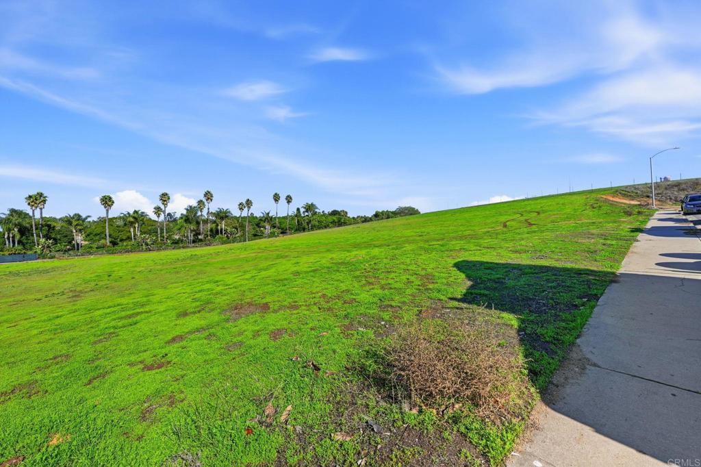 MLS #NDP2511100 image #9