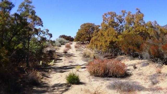 Detail Gallery Image 17 of 41 For 37245 Old Forest Rd, Anza,  CA 92539 - – Beds | – Baths
