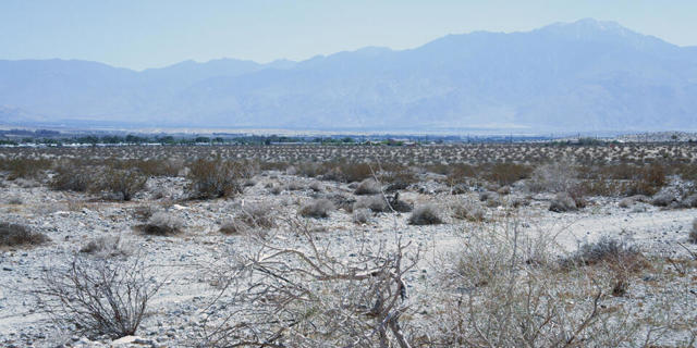 1 Camino Zangiri, Desert Hot Springs CA: https://media.crmls.org/mediaz/66587797-1578-4fa3-b1a7-dffc93e4dfec.jpg