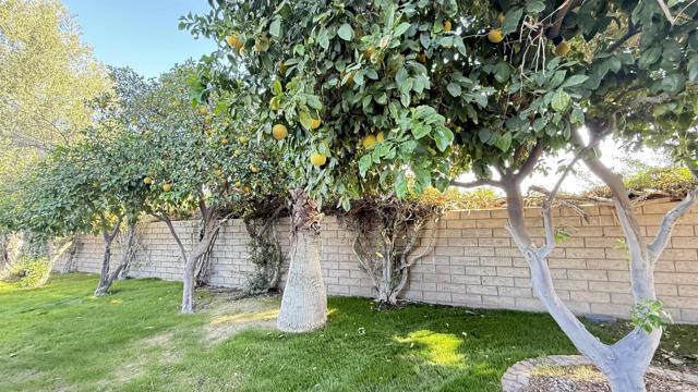 Detail Gallery Image 10 of 17 For 69411 Ramon Rd #886, Cathedral City,  CA 92234 - – Beds | – Baths