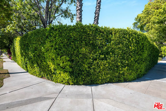 1100 N Ontario Street, Burbank CA: https://media.crmls.org/mediaz/66615171-73ee-4c70-bfa2-e1bad1f59709.jpg