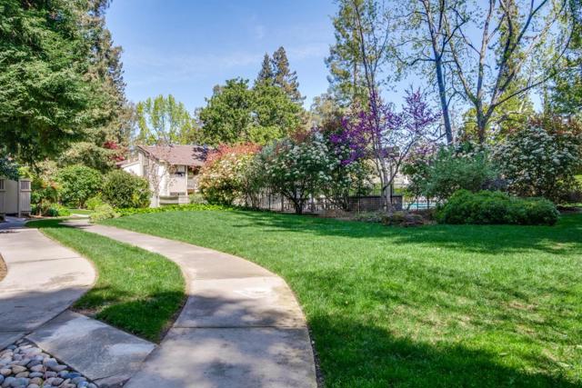 19816 Vineyard Lane, Saratoga CA: https://media.crmls.org/mediaz/66673ceb-9943-4c87-a584-2c65d2a5cd9b.jpg