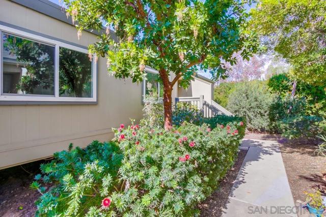 10432 Caminito Banyon, San Diego, California 92131, 3 Bedrooms Bedrooms, ,2 BathroomsBathrooms,Townhouse,For Sale,Caminito Banyon,250020270SD