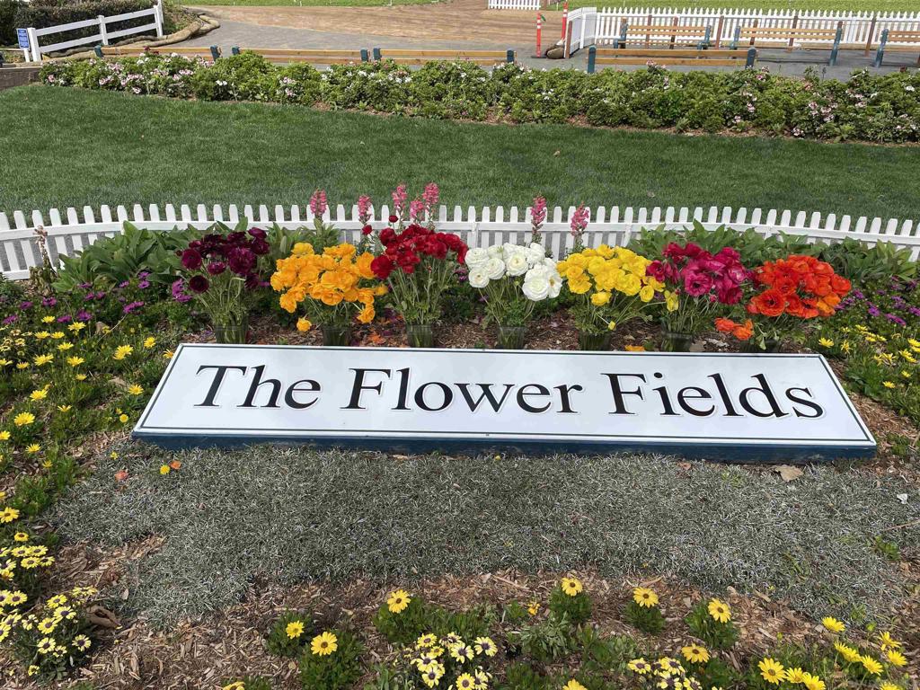 MLS #250036537SD image #34