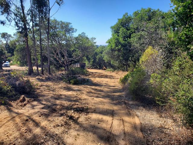 19705 Moonglow Road, Salinas CA: https://media.crmls.org/mediaz/666e21b2-ceac-443d-844c-7792659f4d51.jpg