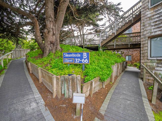 101 Shell Drive, La Selva Beach CA: https://media.crmls.org/mediaz/667da18c-acce-44f1-88a8-e55bf836fef2.jpg
