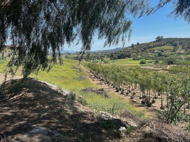 515 Cassou Road, San Marcos CA: https://media.crmls.org/mediaz/667f4e73-00be-40fe-aba3-c7cc1566fde6.jpg