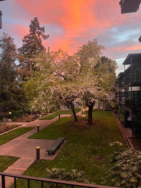 818 N Delaware Street, San Mateo CA: https://media.crmls.org/mediaz/66801a5f-e487-454e-9f26-72e725495c8e.jpg