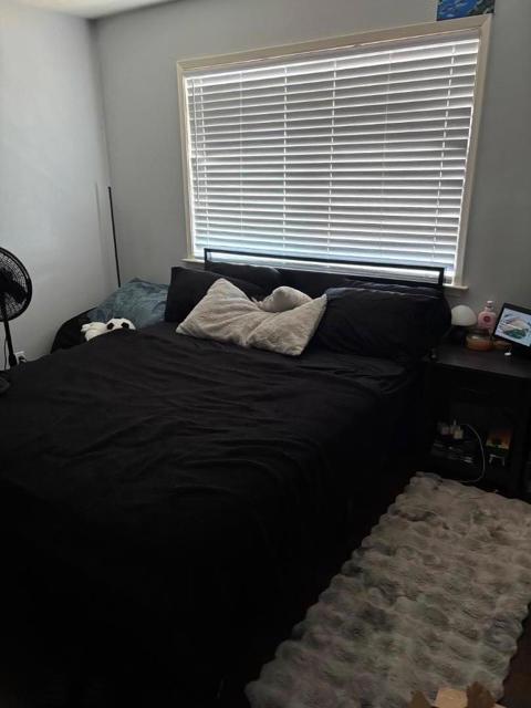 3203 Myles Court, San Jose CA: https://media.crmls.org/mediaz/66918044-2214-4b2a-8555-33e117360173.jpg