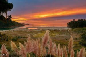 Detail Gallery Image 15 of 16 For 43535 Comptche Ukiah Rd, Mendocino,  CA 95460 - – Beds | – Baths