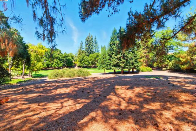 2673 Velvet Way, Walnut Creek CA: https://media.crmls.org/mediaz/66951853-067f-4277-9eb4-f787f742477c.jpg