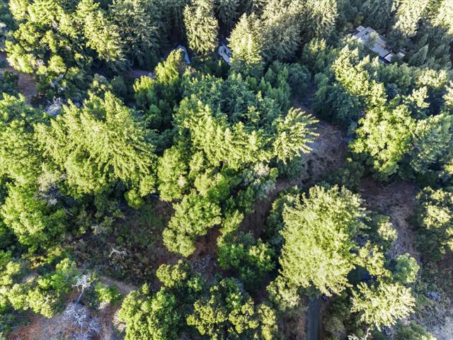 12 Montecito Road, Woodside CA: https://media.crmls.org/mediaz/669f07d0-ceac-48b9-918f-3184b638af23.jpg