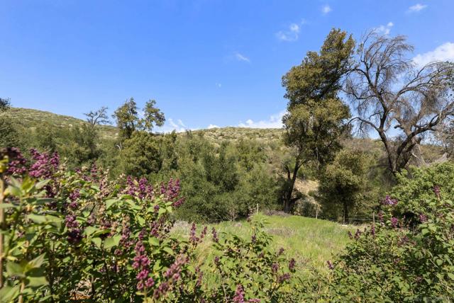 26742 San Felipe Rd, Warner Springs CA: https://media.crmls.org/mediaz/66a29fc4-9a47-49c8-ab26-144c6f433199.jpg