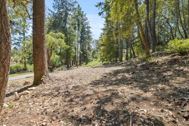 601 Westdale Drive, Santa Cruz CA: https://media.crmls.org/mediaz/66aeefe2-d1ed-4ccc-9292-934b4bd014f5.jpg